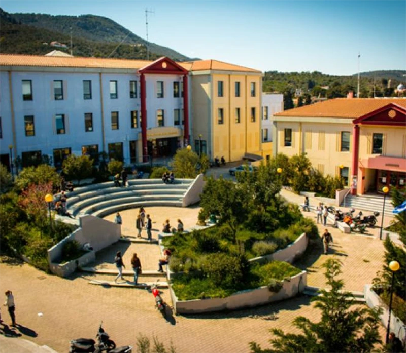 Local & Public Authorities