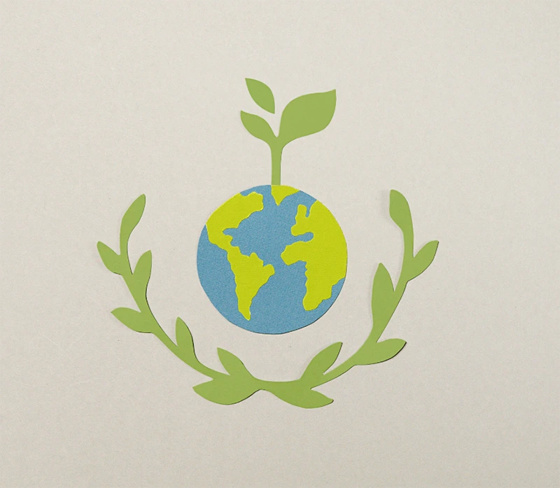 NGOs & Environmental Organizations