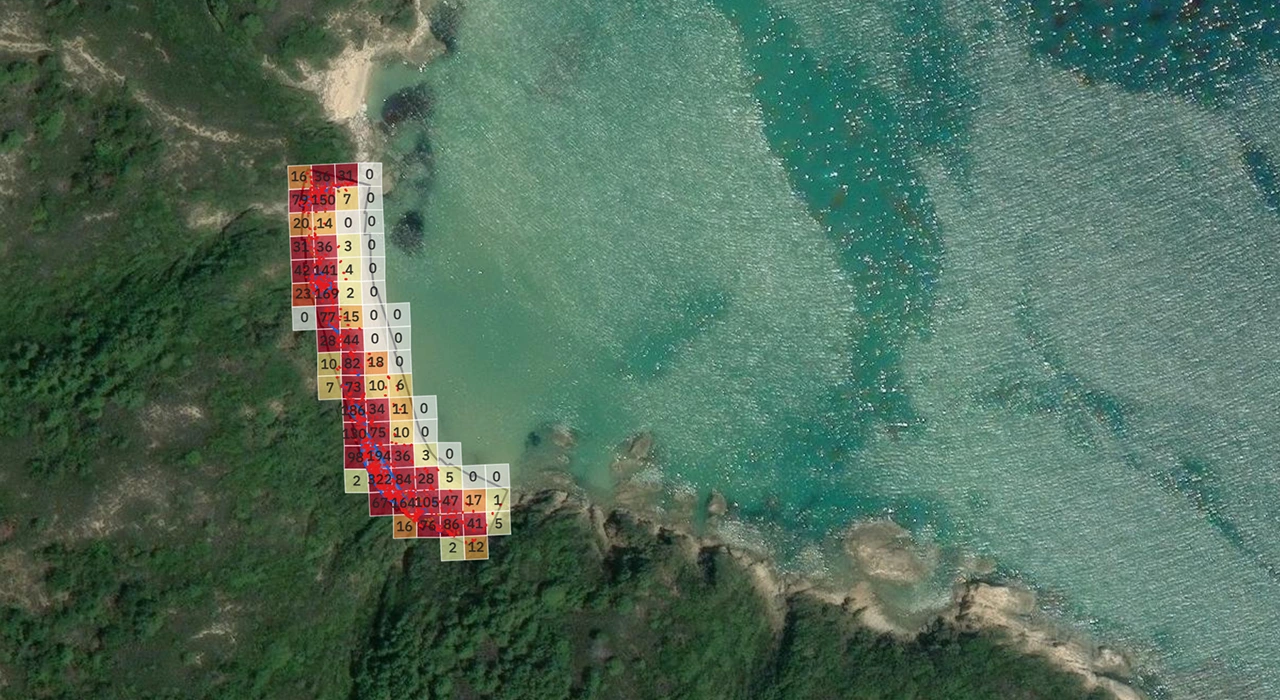 Quantitative Density Map layer
